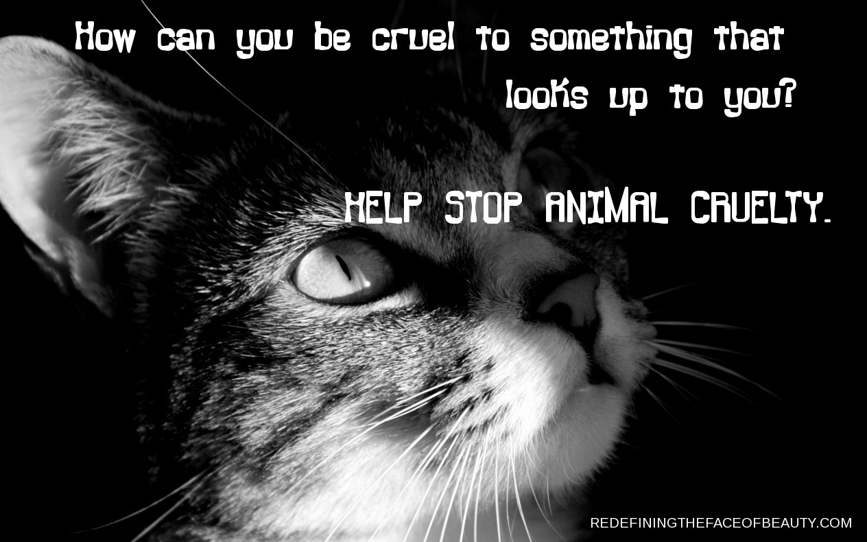 Essay on prevention of cruelty to animals