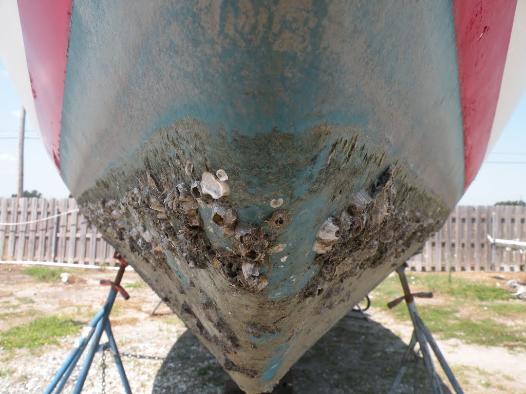 Chemistry Corner Important Questions to Ask When Choosing Antifouling Paint « BYKGardner