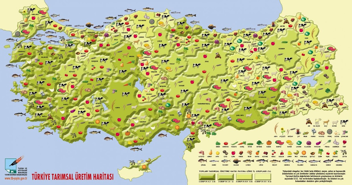 Agricultural Production Map of Turkey Turkey Physical Political Maps