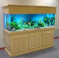 Aquarium 2013