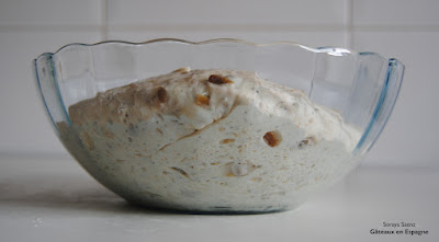 pain maison recette blanc epices facile fabriquer fabrication levain 