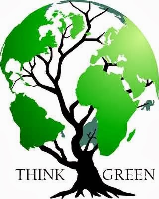 essay importance trees our life essay importance trees our life