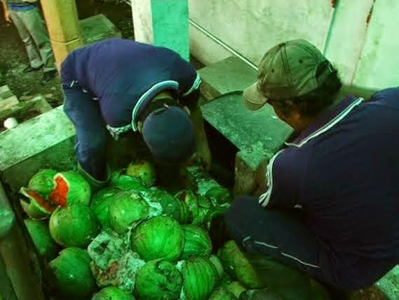 Wow, Buah Busuk Bisa Jadi Energi Listrik