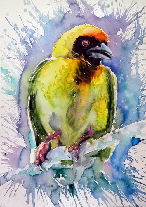 As belas e coloridas pinturas em aquarela de Anna Brigitta Kovács Anna Brigitta Kovács deviantart pinturas aquarelas animais cores
