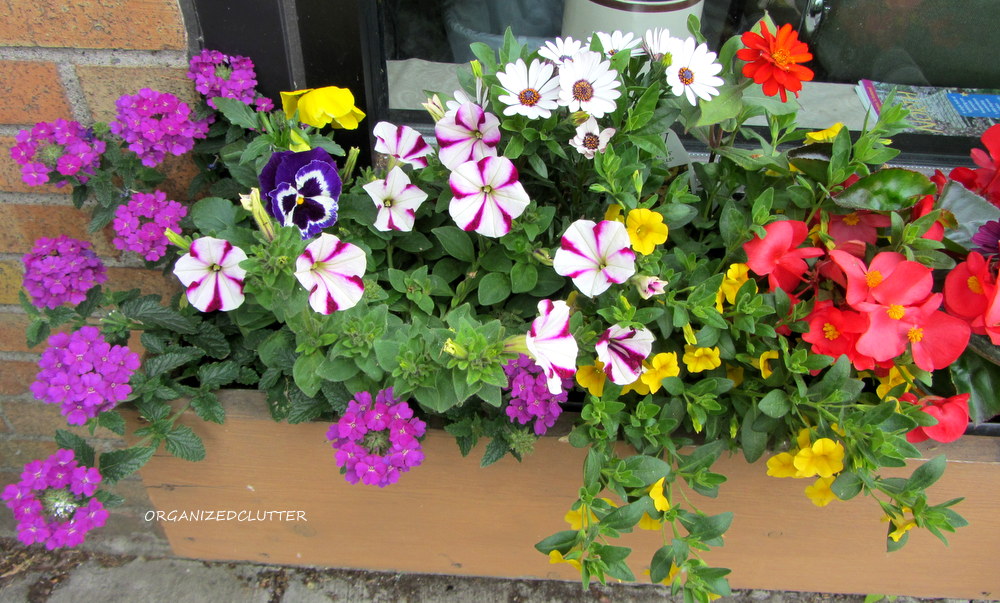 Return To The Prettiest Window Box In Town Organized Clutter
