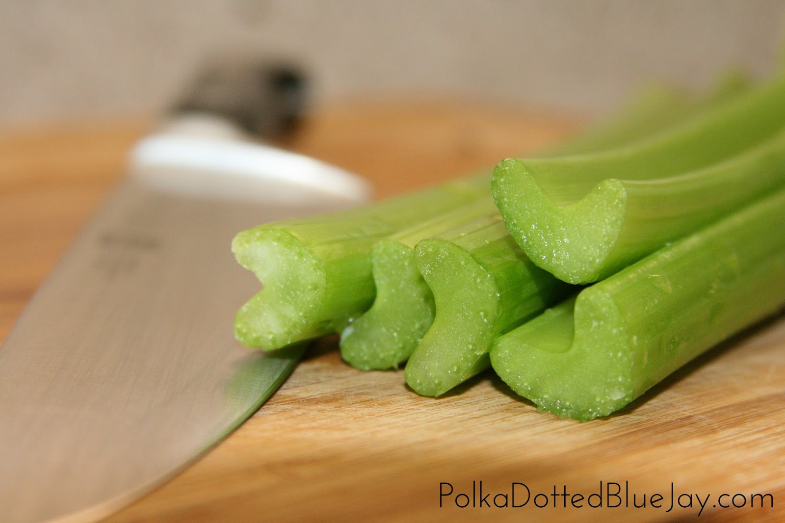 Chicken and Wild Rice Soup with Uncle Ben's® Polka Dotted Blue Jay