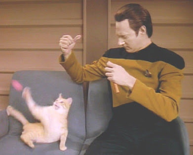Data Cat