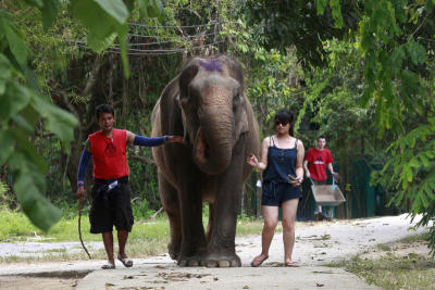 Thailand Embattled Sanctuary