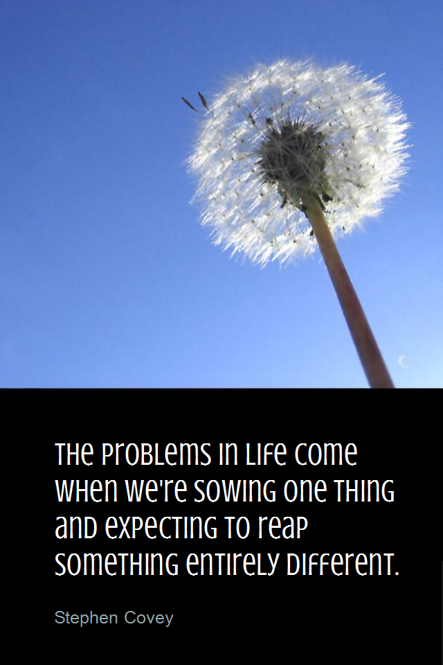 visual quote - image quotation for LAW OF ATTRACTION - The problems in life come when we're sowing one thing and expecting to reap something entirely different. - Stephen Covey
