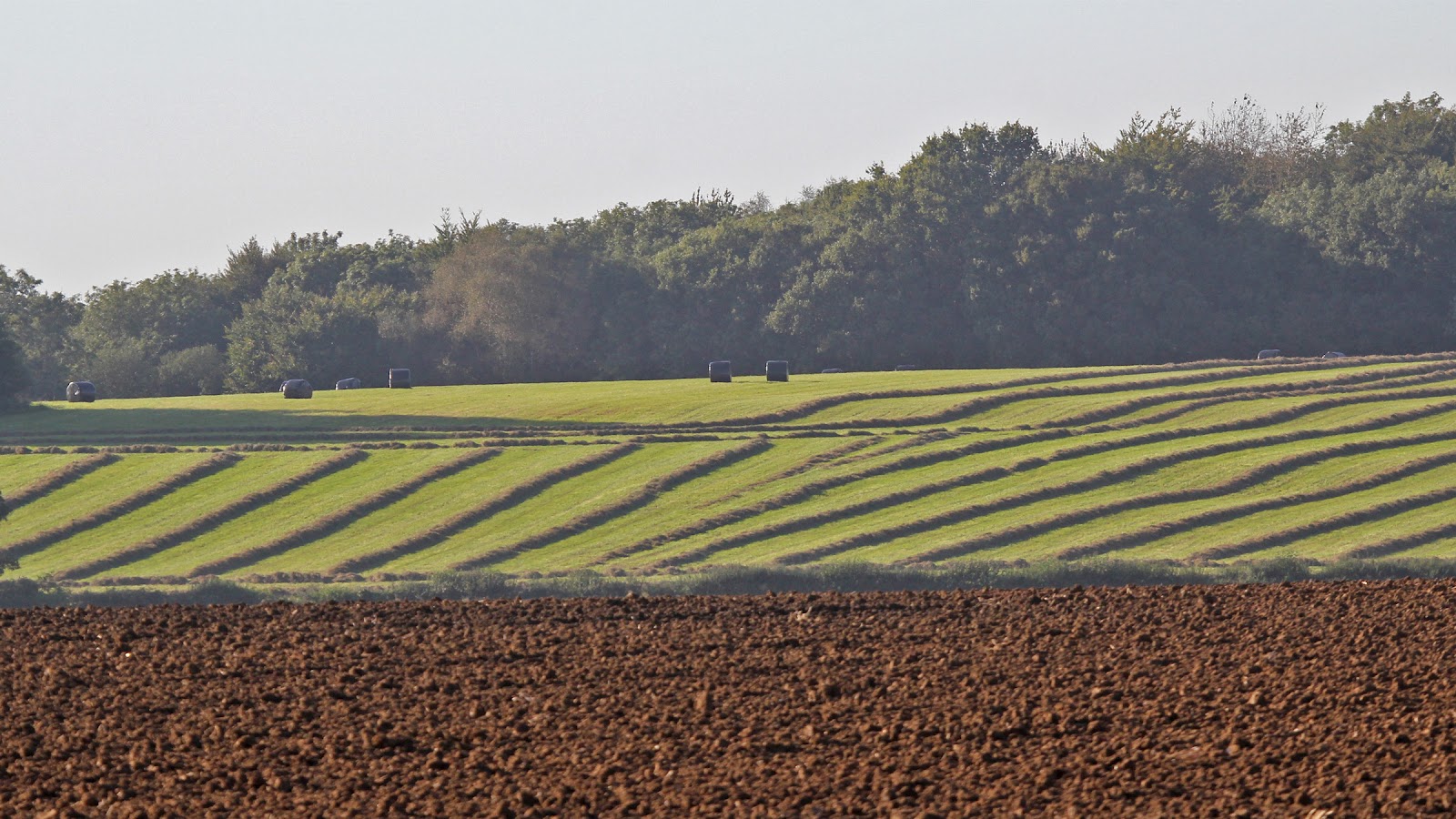 ploughing fields