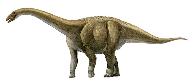 Rapetosaurus