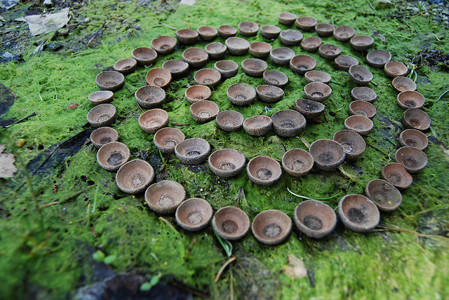 Lernen Mit Bildern Kunst Und Design Am Borg Scheibbs Land Art Im