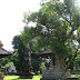 Kayu Bertuah NAGASARI Calophyllum nagassarium Burm.f., Mesua coromandelina Wight, M. nagassarium (Burm.f.) Kosterm., M. pedunculata Wight, M. roxburghii Wight, M. sclerophylla Thw., M. speciosa Choisy Nama lokal/daerah: nagasari (Jawa), nagasari gede (Sunda) Famili: Guttiferae