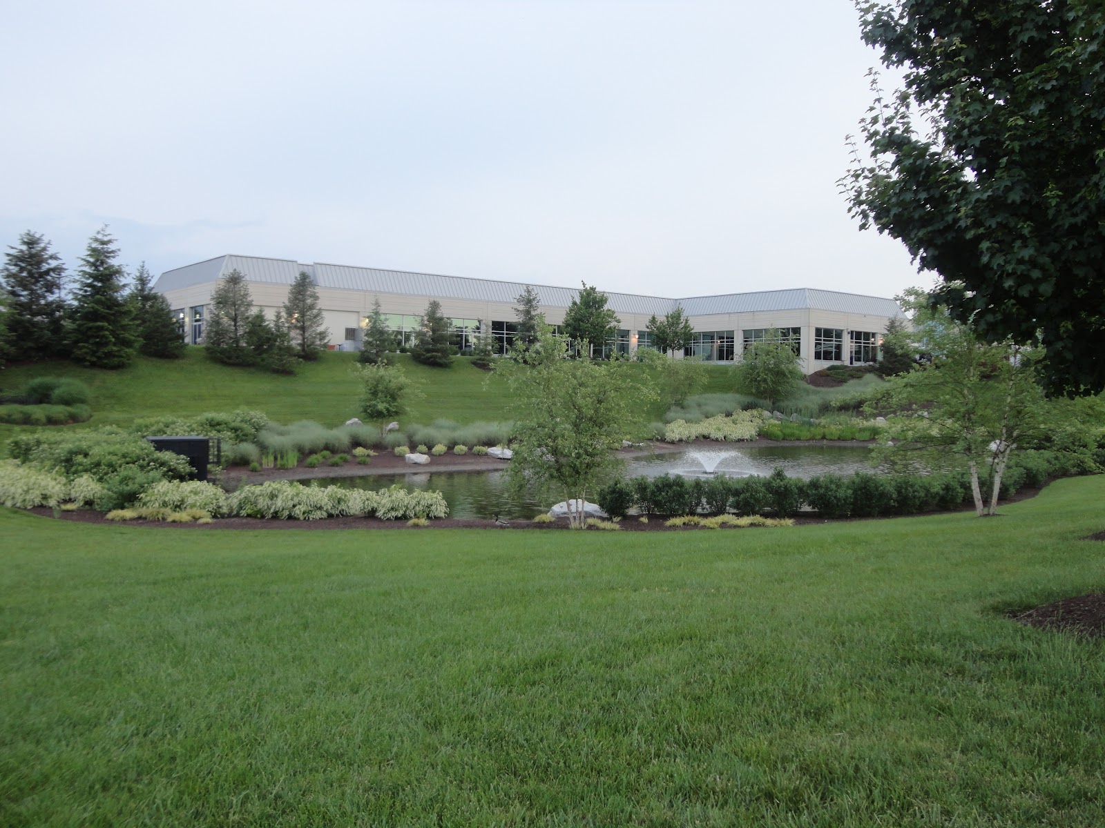 Swm Pond