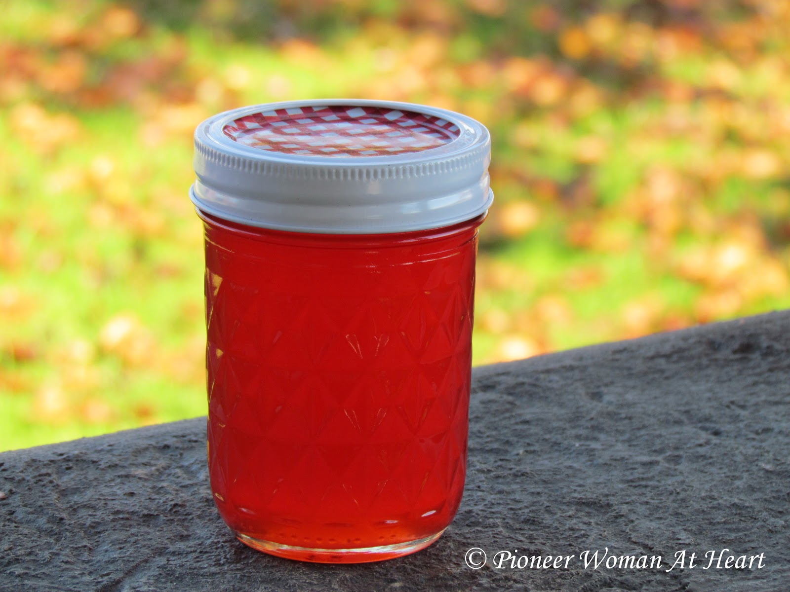 Pioneer Woman at Heart Cinnamon Cider Jelly