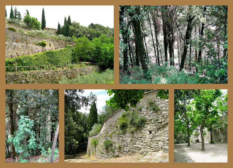 Starshine through my windows