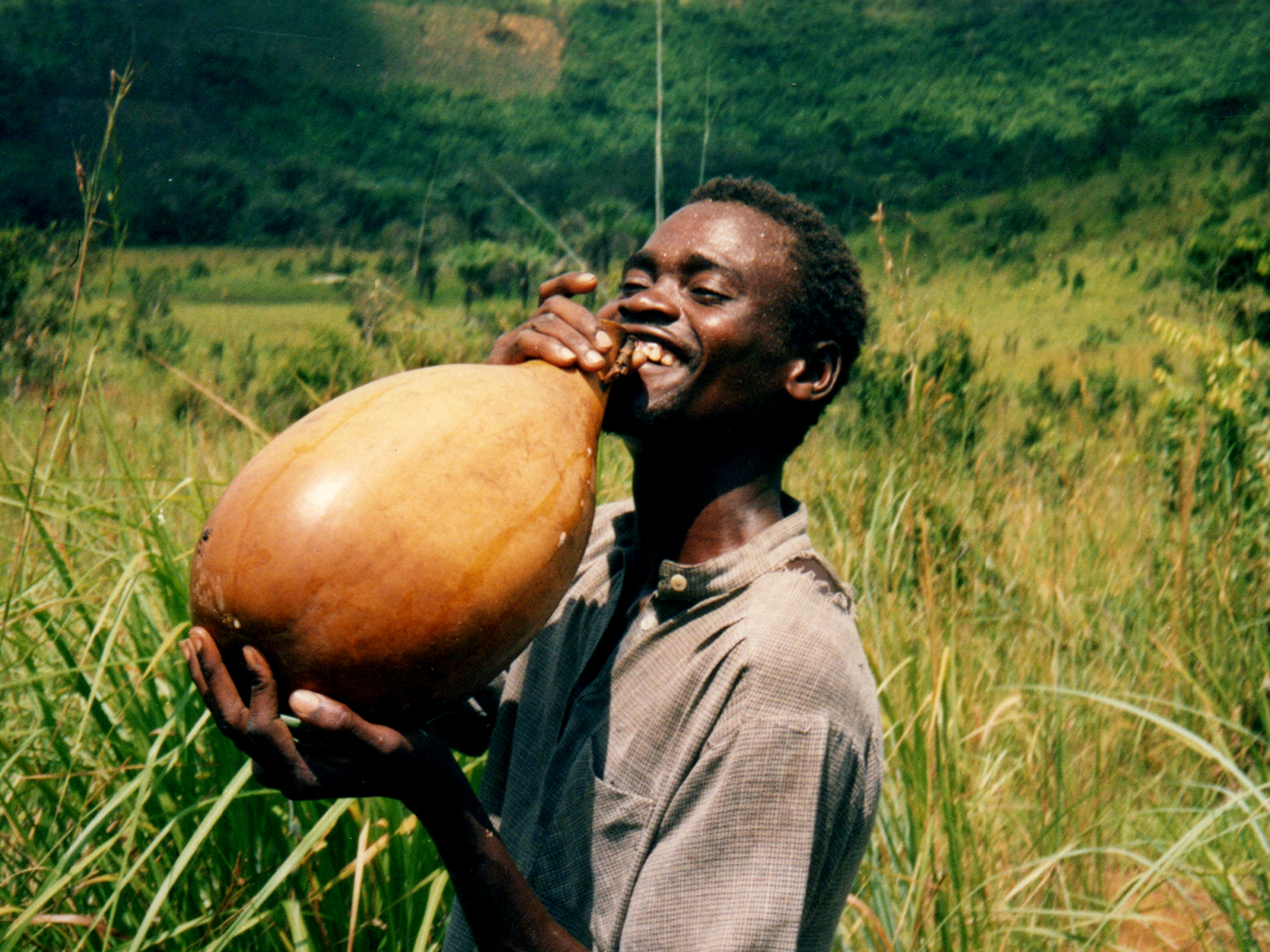 THE AFRICAN CALABASH