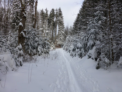 Whiteface rencontre