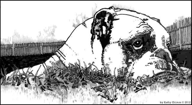 Bulldog Coloring Pages Bulldog Coloring Pages