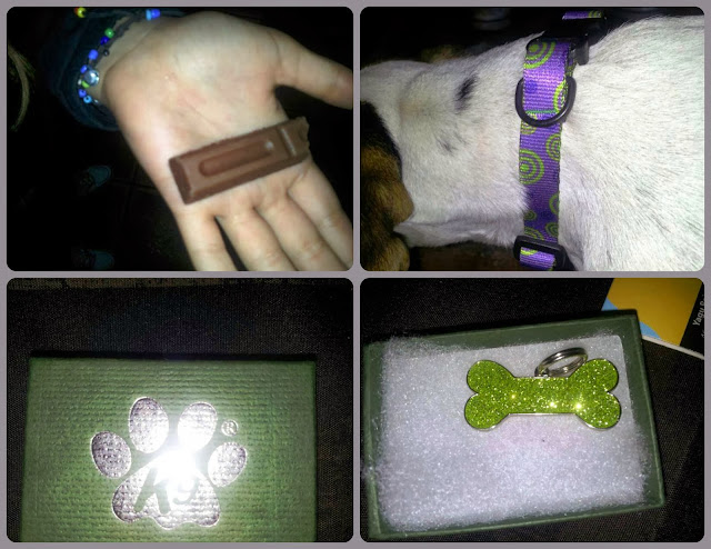 Regalos para nuestros Jack russell Terrier