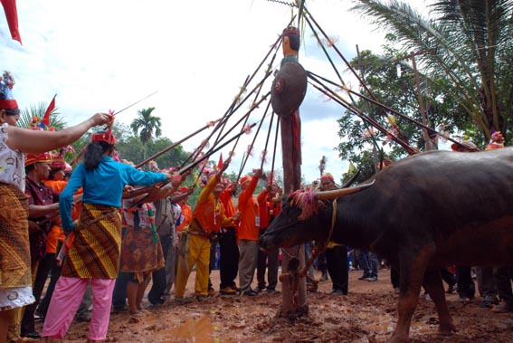 Download this Tiwah Ritual Keagamaan Masyarakat Dayak Ngaju Kalimantan Tengah picture