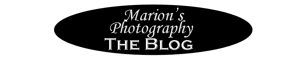 Marions Photography:The Blog