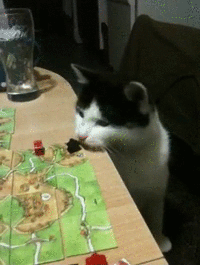 Funny cats - part 96 (40 pics + 10 gifs), cat gifs, cat annoying human playing board game