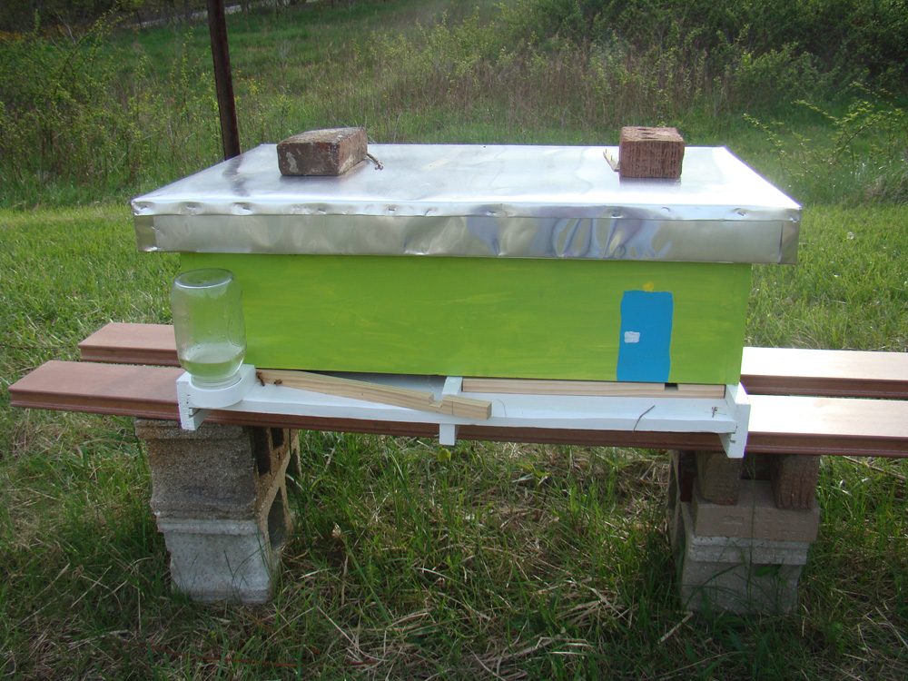 Rurification Feeding the bees