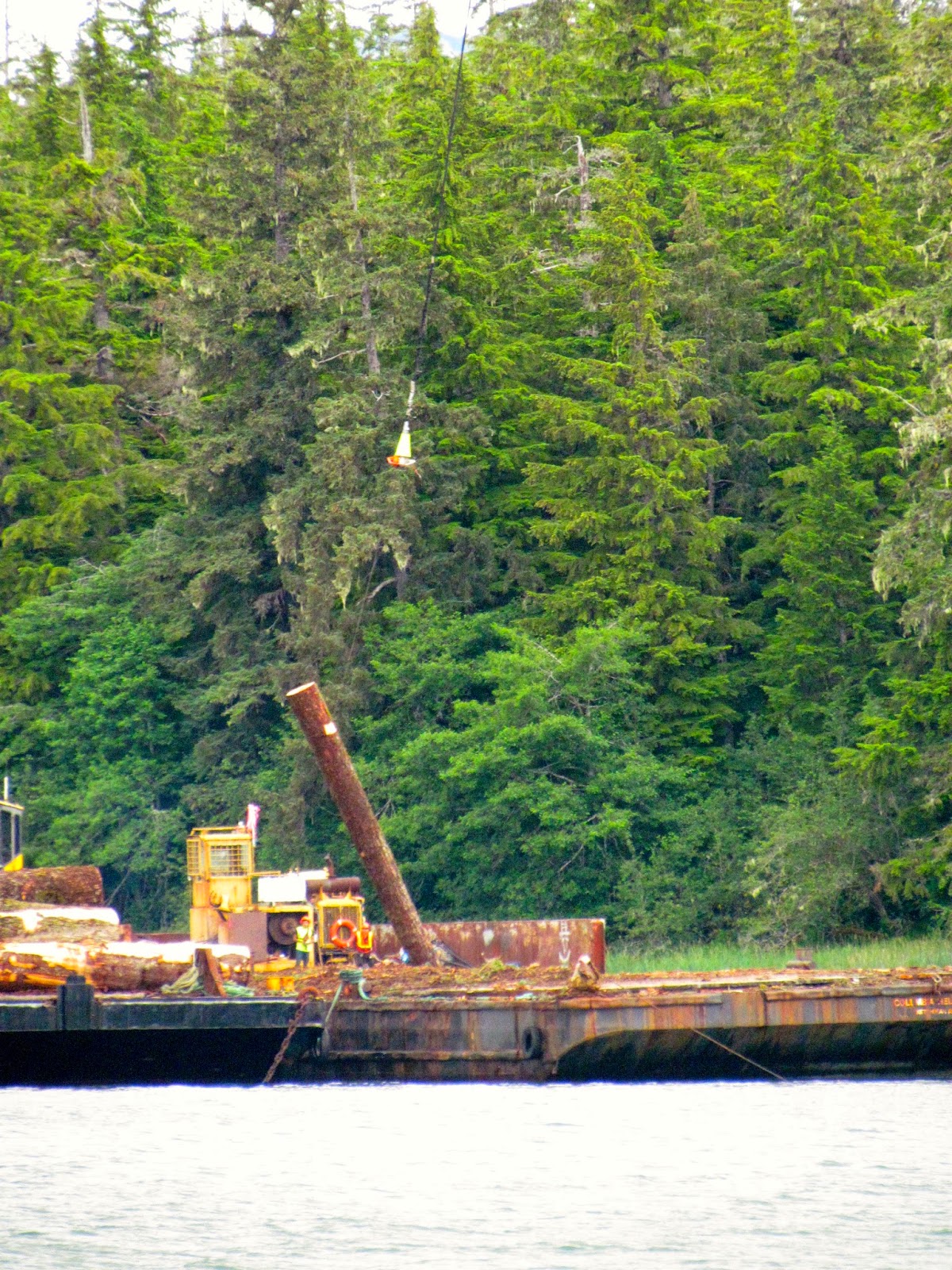 Our Adventures on Cosmo Place July 7 to July 28, Craig to Hydaburg