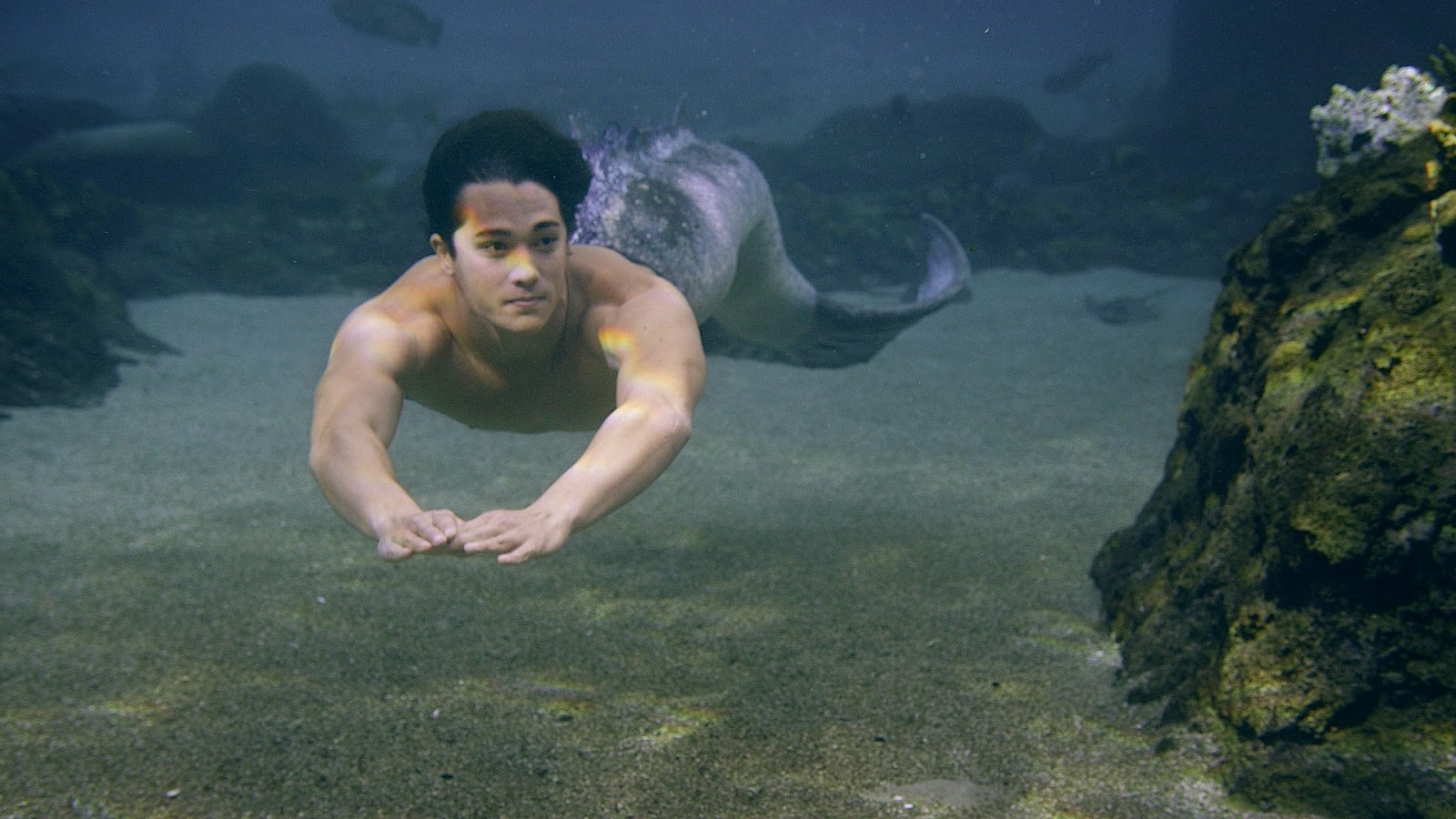 Zac Blakely  Mako mermaids, H2o mermaids, Zac