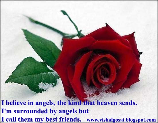 Images Of Beautiful Roses With Quotes