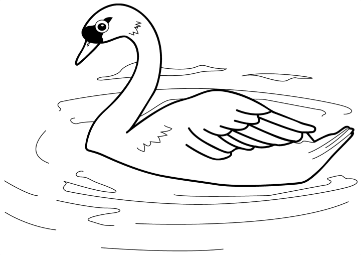 Zoo Coloring Page Zoo Coloring Page