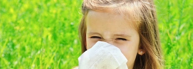 フランス式オーガニック ナチュラル生活 アロマテラピーを花粉症対策に L Allergie Au Pollen
