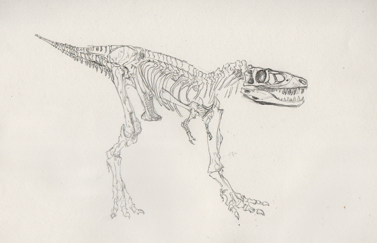 Matt Nava Baby T Rex Reconsctructions Bones, Skin and Feathers