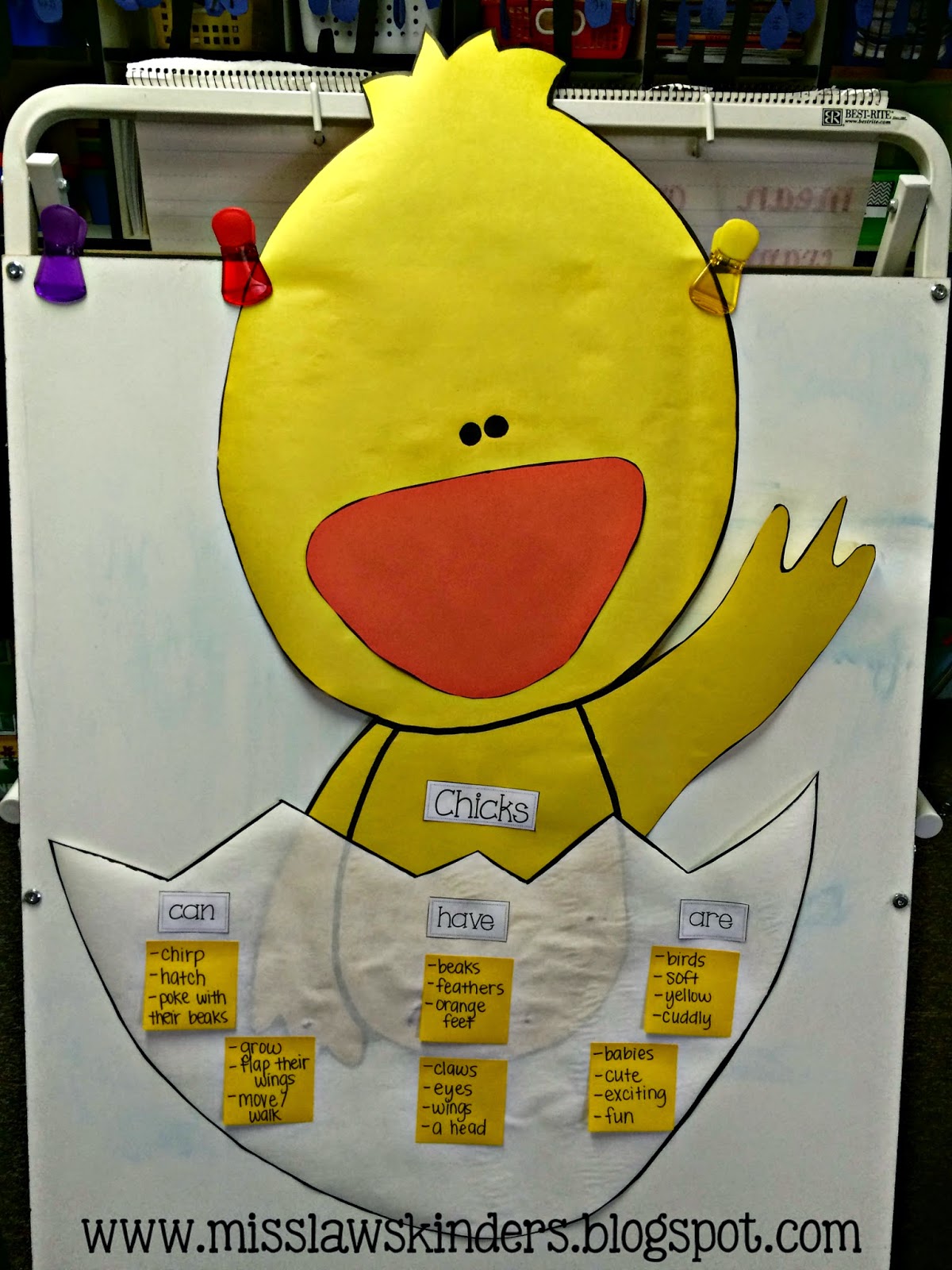 chicken life cycle posters and chick can have are anchor chart