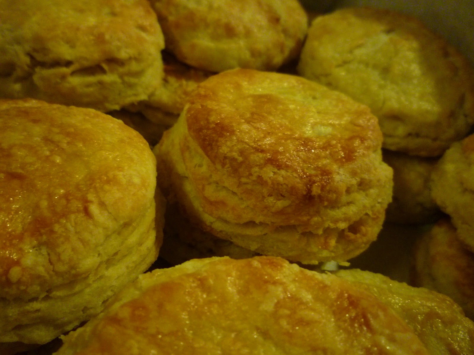 BitesNSlices An Order of American Biscuits