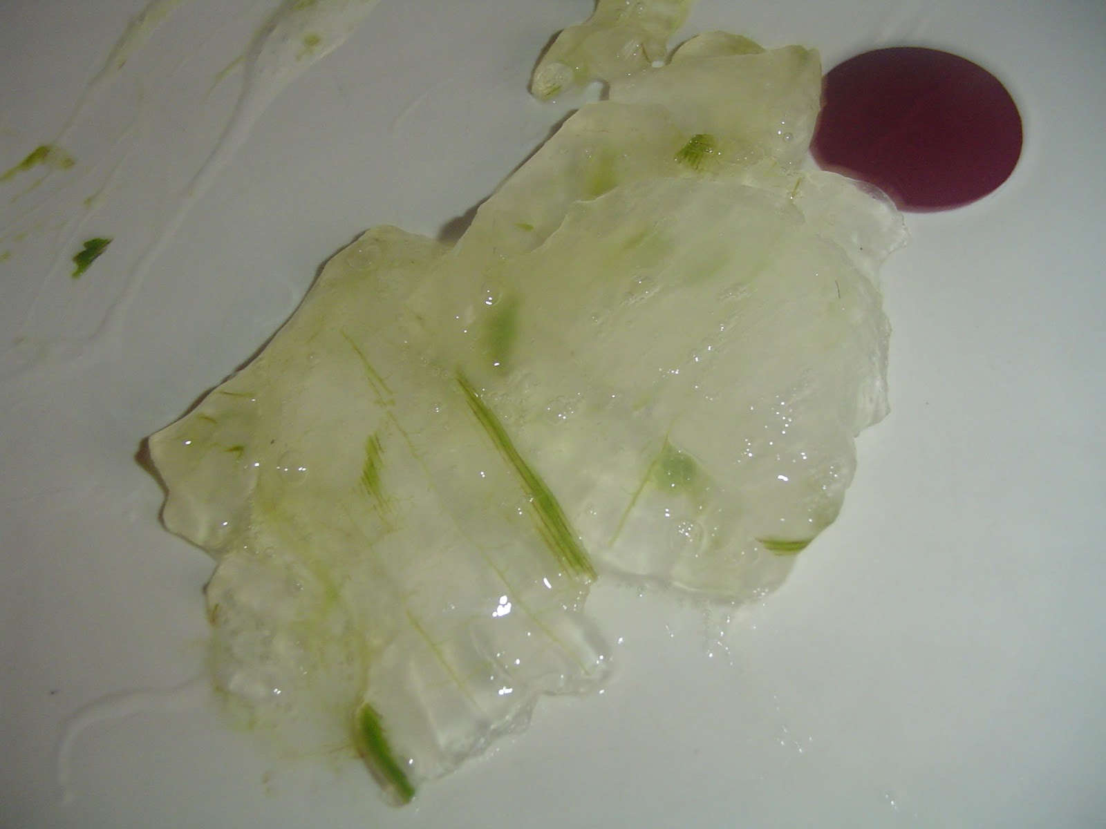 Soap Making Adventure Olive oil & Aloe Vera soap