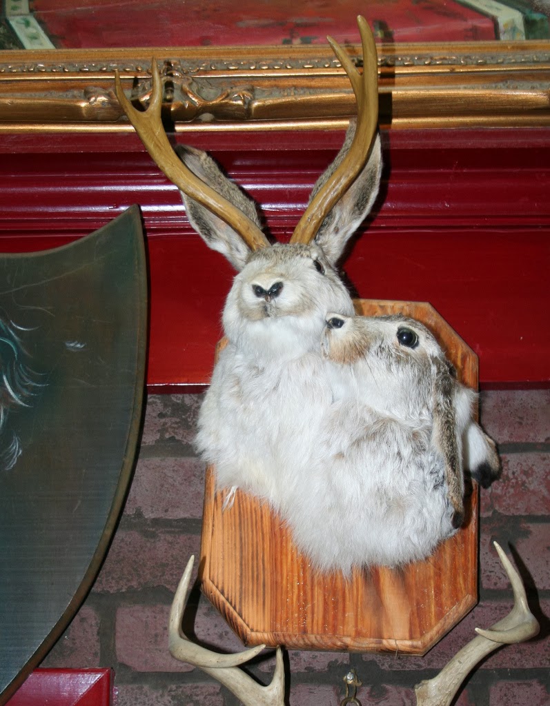 The Carpetbagger Jackalopes