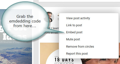 Google+ update drop down menu