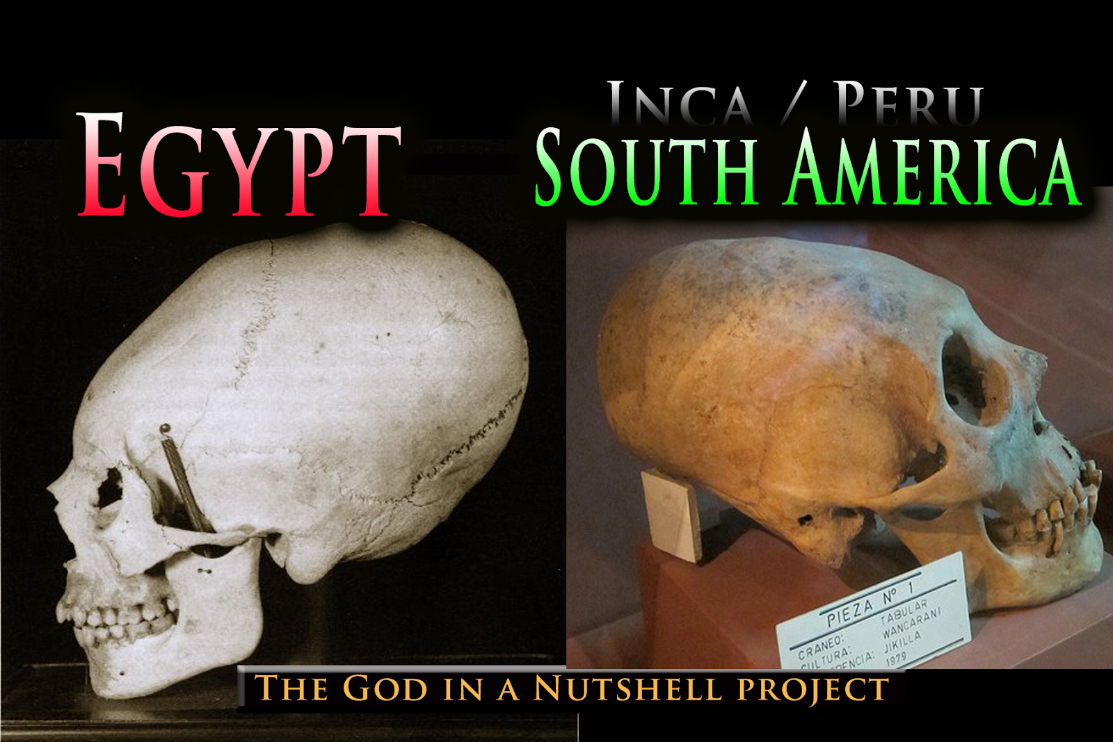 nephilim egypt skulls elongated similarities homo giavelli nutshell sapiens publikacje