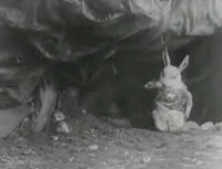 down the rabbit hole