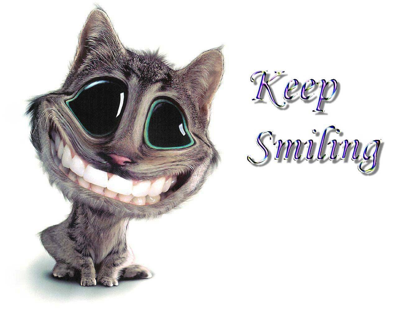 http://4.bp.blogspot.com/-qbP6CmcAtv4/TmkNMJOPtKI/AAAAAAAAB0M/NorLVQ1Qj5o/s1600/funny_wallpapers_1274789200.jpg