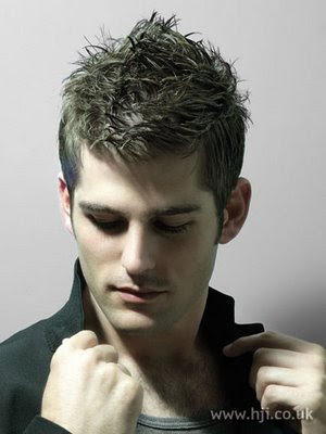 Mens Hair Cuts on Latest Mens Hairstyles 2011   All New Entertainment