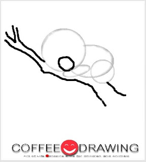 coffeedrawing how to draw koala step 06