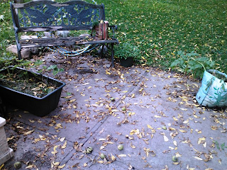 yellow leaf carpet on porch