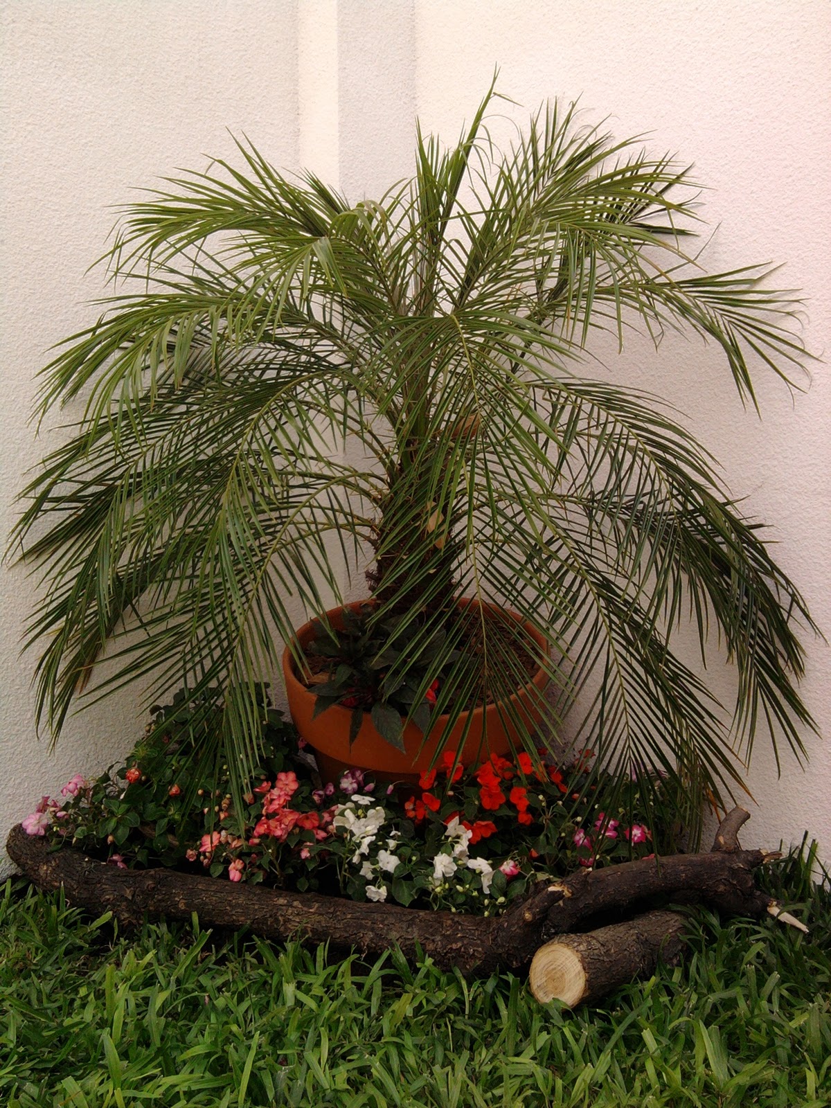 Técnico en Jardinería: Diseño en Jardín.