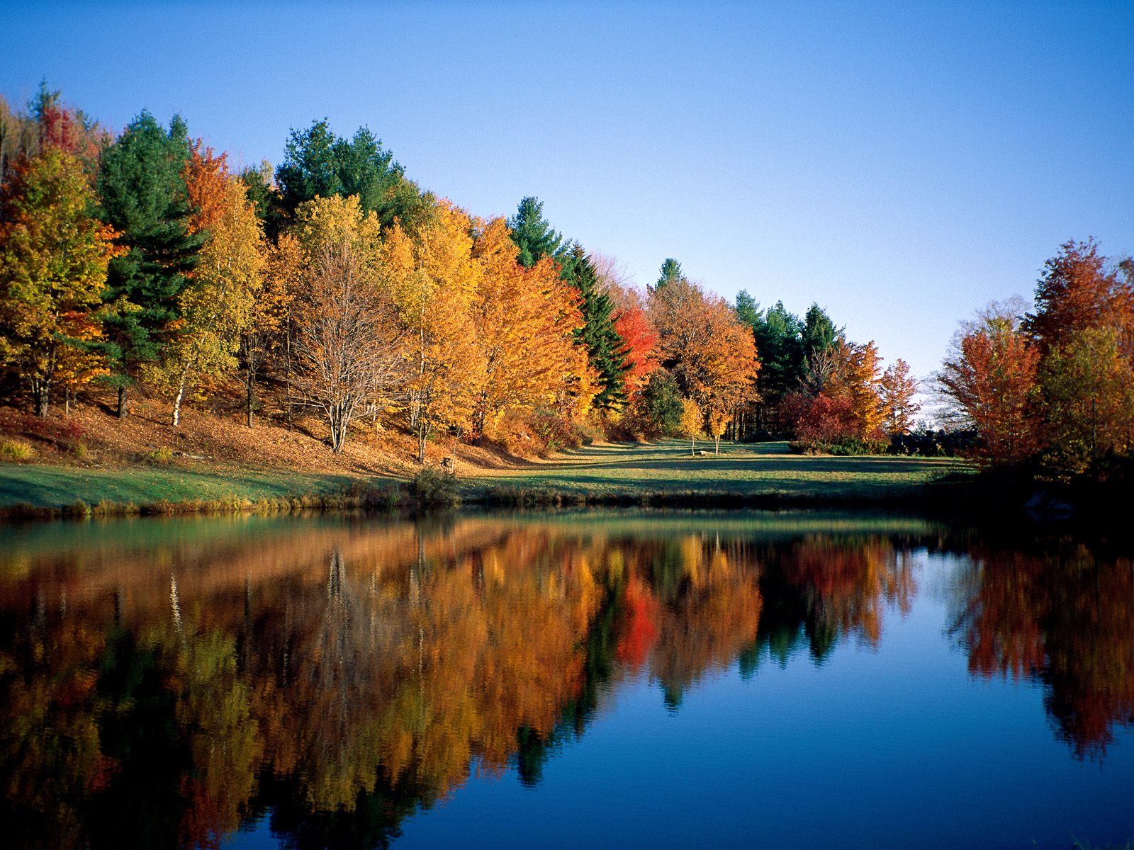 http://4.bp.blogspot.com/-qcSZRpFjuaY/ToSWpBXNNnI/AAAAAAAAAq0/0MSJQRySxBU/s1600/Vermont+Autumn.jpg