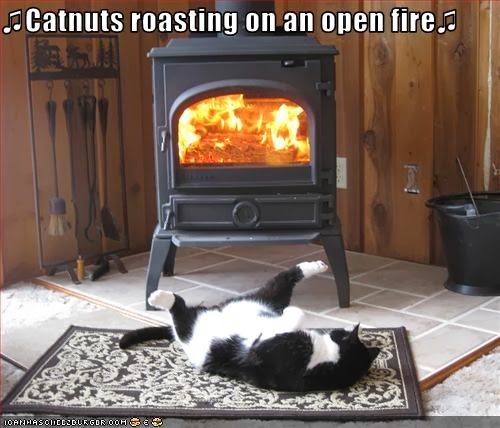 roasting+on+an+open+fire.jpg
