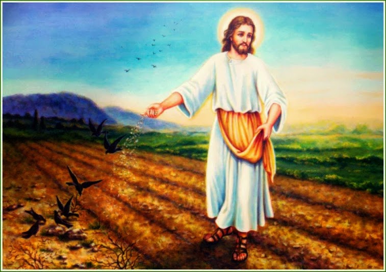 Parábola do Semeador Coaching