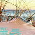Plus Skateshop X Nike SB "Glacier/Emerald Dunk Low"